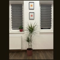 Lokal 25m  parter  dostosowany pod gabinet, kosmetologie, fryzjera Oś.Niepodległości Mielec